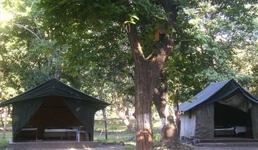 фото отеля Corbett Jungle Lore Lodge Ramnagar