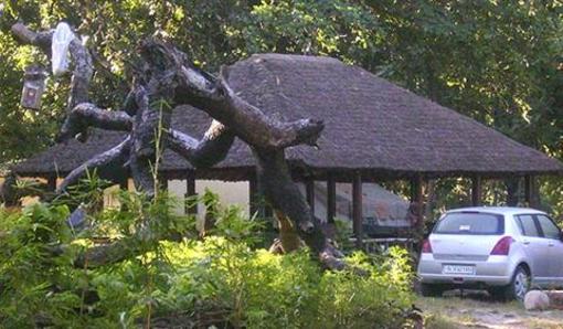 фото отеля Corbett Jungle Lore Lodge Ramnagar