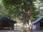 фото отеля Corbett Jungle Lore Lodge Ramnagar
