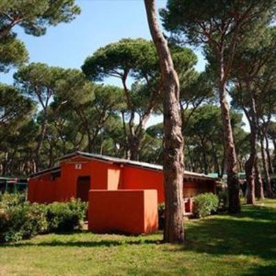 фото отеля Parco Della Gallinara Hotel Anzio