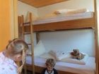 фото отеля Die Sonnigen - Hotel Appartements Und Familienspass