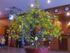 фото отеля Nhat Ha 2 Hotel