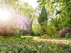 фото отеля Dorint Parkhotel Monchengladbach