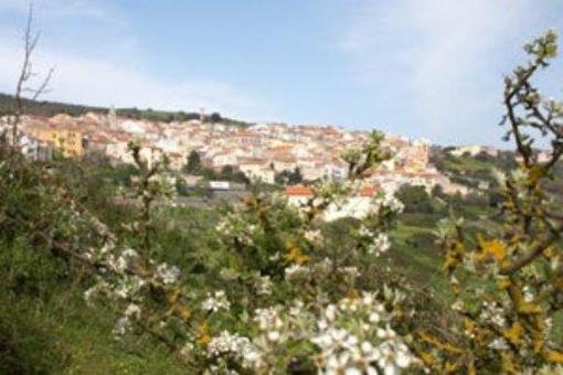 фото отеля B & B Su Ghindalu