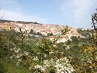 фото отеля B & B Su Ghindalu