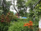 фото отеля Shanti