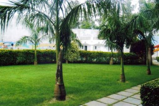 фото отеля Charans Guest House
