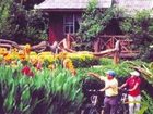 фото отеля Hut Ing Pai Resort