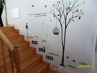 фото отеля Lazy Bird Guesthouse
