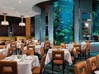 фото отеля Golden Nugget