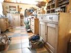 фото отеля Garden Shed