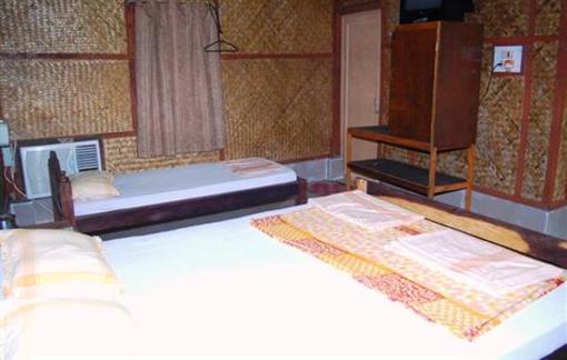 фото отеля Palm Grove Eco Resort