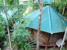 фото отеля Palm Grove Eco Resort