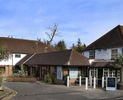 фото отеля Tree at Cadmore Hotel High Wycombe