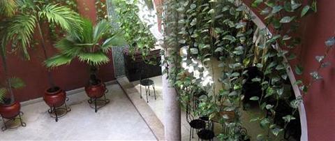 фото отеля Hotel Reforma