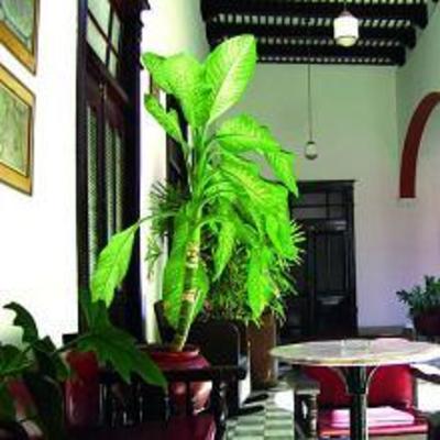 фото отеля Hotel Reforma