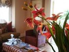 фото отеля Goble Palms Guest Lodge & Urban Retreat