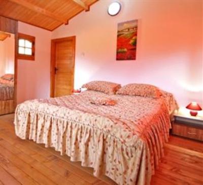 фото отеля Pension Casa Ecologica Baile Herculane