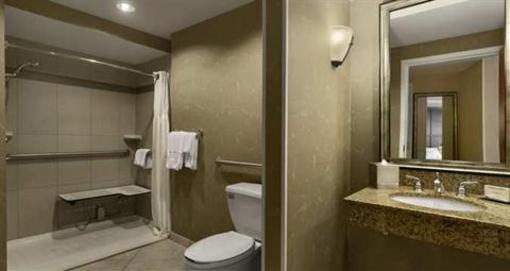 фото отеля Hilton Oak Lawn