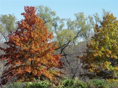 фото отеля Crowne Plaza Minneapolis West