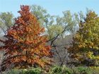 фото отеля Crowne Plaza Minneapolis West