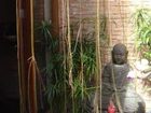 фото отеля Nguyen Shack - Saigon Homestay