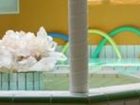 фото отеля Das Heubad Landhotel & Restaurant Prigglitz