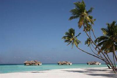 фото отеля Gili Lankanfushi Maldives