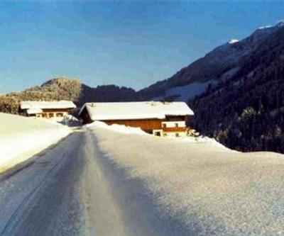 фото отеля Bauernhof Abenteuer Farmhouse Apartments Hochfilzen