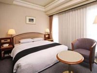 Kumamoto Hotel Castle