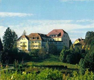 фото отеля Hotel Pfeifer Kirchenwirt