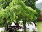 фото отеля Fruhstuckspension Margarete