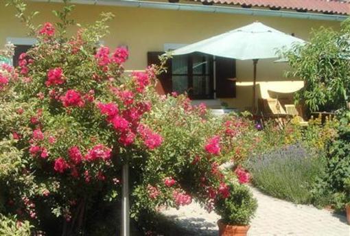 фото отеля Weingut Winzerzimmer Toso