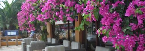 фото отеля Ceferino Hotel