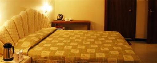 фото отеля Hotel Satya Ashoka