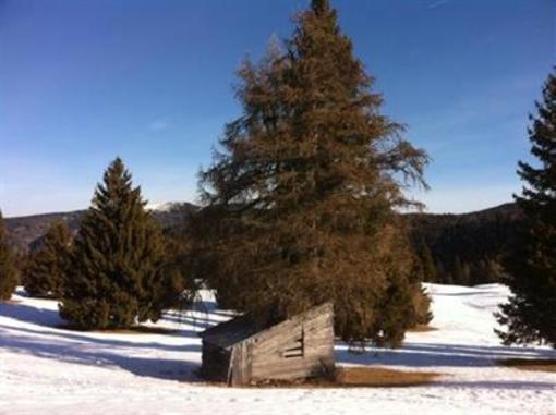 фото отеля Pineta Hotels Nature Wellness Resort