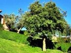 фото отеля Agriturismo Podere l'Aione