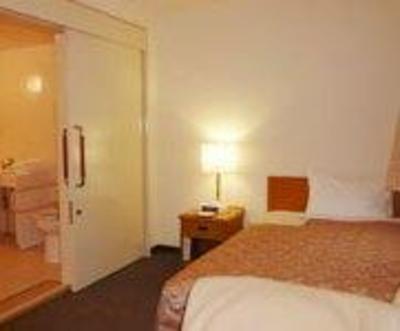 фото отеля Kamenoi Hotel Kumamoto Inter Goryou
