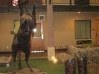 фото отеля Days Inn Lubbock South