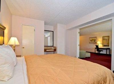 фото отеля Comfort Inn & Suites Rochelle