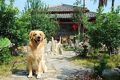 фото отеля Yangshuo Dongling Resort