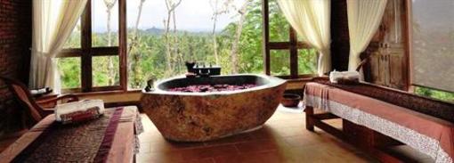 фото отеля Plataran Borobudur Resort & Spa