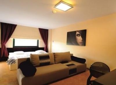 фото отеля Business Hotel Conference Center & Spa Tirgu Mures
