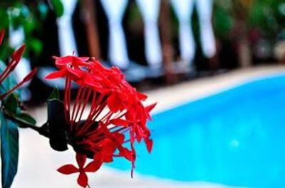 фото отеля Hotel Green Tulum