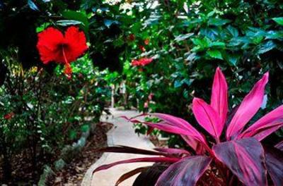 фото отеля Hotel Green Tulum