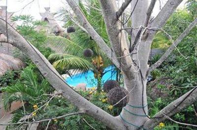 фото отеля Hotel Green Tulum