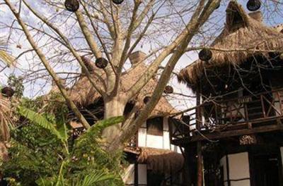 фото отеля Hotel Green Tulum
