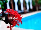 фото отеля Hotel Green Tulum