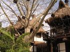 фото отеля Hotel Green Tulum