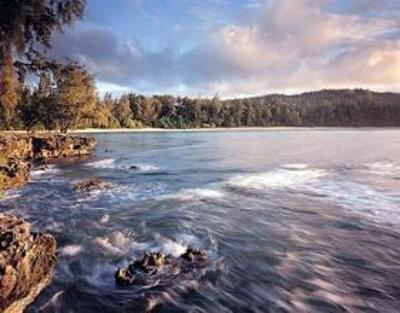 фото отеля Turtle Bay Resort